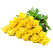 This image presents a serene cluster of yellow roses, carefully arranged as if ready to be transformed into a sympathy bouquet for a family in North Watford. About two dozen blooms lie side by side against an immaculate white background, their petals forming graceful spirals that shift from tight buds to fully opened flowers. The yellow colour is vivid but tender, recalling the soft glow of morning light over the rooftops near St Albans Road, offering a sense of comfort rather than celebration. Dark green leaves weave through the roses, adding depth and contrast; their slightly glossy surfaces and crisp edges make the golden petals appear even softer and more inviting. The sturdy stems, visible beneath the blooms, carry small thorns and textured ridges that speak to the natural character of fresh garden roses, not overly styled or artificial. Gentle, even lighting smooths across the scene, eliminating harsh shadows and creating a calm, contemplative mood, as though the flowers are resting quietly on a florist's bench just before being delivered. There is no vase or decorative accessory to distract from the flowers themselves; their simple beauty communicates sincerity, compassion, and respect. This arrangement feels especially fitting for sending condolences across North Watford, perhaps to a home off Leavesden Road or a memorial gathering close to local churches, where yellow roses can express gratitude for a life well lived and offer a small ray of hope. The overall impression is one of understated elegance and emotional warmth, an image that mirrors the kind gestures people make when words alone are not enough.