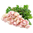 A bountiful cluster of soft pink roses is spread out across a bright white background, the flowers gathered closely so their velvety faces almost touch. There are roughly 24 blooms, each one unique yet harmoniously blended into a single, flowing bouquet. The petals display a muted, blush tone that borders on dusty rose, with lighter, creamy highlights along the frilled edges and small hints of lavender shadow where the petals overlap. Some roses remain mostly closed, suggesting quiet beginnings and unspoken thoughts, while others open into gentle spirals that reveal more of their hearts, like emotions slowly unfolding. The stems, long and sturdy, lie mostly hidden beneath the canopy of flowers, but where they appear, they are accompanied by lush, dark green leaves that form a deep, soothing backdrop to the pastel blooms. The lighting is soft and even, similar to natural daylight filtering through a North Watford window, giving the arrangement a peaceful glow without harsh contrast. Against the pure white surface, the roses stand out with dignified clarity, creating an image that feels clean, respectful, and full of calm. This is the sort of bouquet a local family might choose for a sympathy tribute in North Watford, perhaps delivered quietly to a home near St Albans Road or to a small service, where its presence can speak gently of love, remembrance, and support. Though silent, the roses suggest a delicate fragrance that comforts rather than overwhelms, like a tender embrace offered in a time of loss.