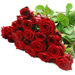 A dramatic spread of deep red roses lies horizontally across a pure white background, like a ribbon of colour running from one side of the image to the other. Around two to three dozen long-stemmed roses are gathered together, their heads turned slightly in different directions so each bloom's unique shape can be seen. The petals are dense and velvety, coiling inward in elegant spirals that create a classic rose silhouette, with some flowers more open and layered, and others still partially closed, holding their secrets tighter. The crimson hue is intense and even, with darker shadows where petals overlap, giving the bouquet a sense of depth and fullness. Along the upper right edge of the arrangement, strong dark green stems and clusters of glossy leaves emerge, framing the roses and providing a cool, natural contrast that enhances the richness of the red. The white background is uncluttered and bright, reminiscent of a polished display surface in a North Watford flower shop, drawing every bit of attention to the roses themselves. Light falls cleanly across the bouquet, highlighting delicate textures and subtle curves, as if the flowers are being admired up close just before being wrapped for delivery. This is a bouquet that feels ready for a grand romantic gesture in North Watford-perhaps for an anniversary near Knutsford Avenue or a surprise waiting on a table close to Callowland Park-expressing passion, gratitude, and devotion through the timeless language of red roses.
