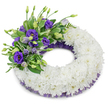 A dignified circular funeral wreath photographed against a clean white studio background, its soft shadow lending the design gentle depth. The main body is a continuous, plush ring of pristine white cushion chrysanthemums, each tightly packed bloom contributing a cloud-like, ruffled texture that reads as peace and purity. At the upper-left quadrant a carefully composed spray anchors the composition: velvety purple Eustoma (lisianthus) in a range from deep violet to pale lavender, some fully open with delicate yellow throats and others shown as graceful buds on slender stems. Interspersed among the lisianthus are fresh green accents-broad glossy leaves, faintly variegated foliage and fine, fern-like fronds-that add contrast and a natural, breathing quality to the arrangement. A subtle trim of crinkled, mesh-like dark purple ribbon peeks out beneath the outer and inner edges of the chrysanthemum ring, providing a refined, tonal echo of the purple blooms and a finished, respectful silhouette. The studio lighting is soft and even, bringing out the chrysanthemums' creamy highlights and the lisianthus' velvety shadows without harsh glare, while a faint scent of fresh cut flowers is implied by the close, living composition. This wreath is composed with restraint and tenderness, the kind of piece chosen to express condolence and remembrance at services near Cassiobury Park or at small family funerals around North Watford. As a florist I picture it placed near a podium or beside a simple casket, offering quiet comfort and enduring respect in moments when words fall short.