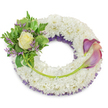 A calm, circular sympathy wreath composed of a dense, cloud-like bed of small white chrysanthemums, each tiny floret packed close to form a soft, pillowy texture that reads as purity and quiet comfort. Beneath the white surface, a whisper of deep purple netting or mesh peeks through along the inner ring, lending a subtle shadowed depth and a hint of dignified colour without overpowering the design. At the upper-left quadrant a small, intimate bouquet is arranged: a single, gently unfurling cream-to-pale-yellow rose sits at the heart, its satiny petals catching the light, surrounded by lush green foliage - broad variegated leaves edged in lighter tones and airy, feathery fern fronds that add movement and a soft, botanical scent. Scattered through this cluster are fine sprigs of lavender-purple statice that give a delicate, papery texture and a comforting, muted tone that harmonises with the hidden purple underlayer. To the right side, balanced between roughly two o'clock and five o'clock, two sculptural calla lilies sweep gracefully across the lower arc; their trumpet-shaped blooms show a gentle ombré from deep purple at the tips into a peach-pink or blush near the bases, while their bright green stems curve naturally along the chrysanthemum wreath, visually linking the two floral groupings. A single longer green stem runs from the left cluster across the lower section toward the callas, neatly secured, creating a quiet diagonal that guides the eye. Set against a clean white background and lit with soft daylight, the composition feels reverent and consoling - a handcrafted memorial piece suited to graveside services or a funeral tribute in North Watford, quietly expressing respect, remembrance and enduring love.