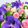 The photograph showcases a sumptuous bouquet in full close-up, as if resting on a bright windowsill in a North Watford home just after delivery. Dominating the arrangement are several large purple Vanda orchids, each one a showpiece with broad, velvety petals traced by a darker, netted pattern that makes the colour appear almost three-dimensional. Around them, roses gather in a rich, layered embrace: some are soft blush pink, others a deeper medium pink, and several are creamy white or tinged with a hint of pale yellow, their petals tightly coiled in elegant spirals that convey romance and care. Nestled among the blooms, small clusters of round, waxy white Hypericum berries gleam subtly, adding a sculptural detail and a fresh, almost wintery accent to the design. Tiny, fluffy white filler flowers-similar to miniature chrysanthemums or little button carnations-sprinkle through the bouquet, lending a gentle, cloud-like softness between the larger blossoms. The foliage is a composed mix of textures: smooth, bright green leaves frame and support the flowers, while lacy, silver-green sprigs of foliage, reminiscent of Dusty Miller, contribute a soft, velvety contrast and a cool undertone. The entire arrangement is photographed against a pale, uncluttered background, which highlights the interplay of purples, pinks, creams, and greens without distraction. The mood is elegant yet inviting, perfect for expressing love, gratitude, or congratulations, whether sent to a friend near the station or a family home elsewhere in North Watford, capturing the feeling of a truly special floral moment.