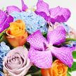 In this detailed, overhead view, a luxurious bouquet is displayed against a clean white background, as if it has just been set down on a bright work surface in a North Watford flower studio. The eye is immediately drawn to the dramatic Vanda orchids, their broad petals saturated in deep fuchsia and magenta tones, each one intricately veined with pale, almost silvery lattice patterns that lend a sense of depth and movement. Interspersed among these orchids are opulent roses that introduce layers of warmth and nostalgia: a brilliant orange rose sits near the lower left, its petals curled in a tight, spiralling centre that suggests freshness and vitality, while a nearby rose in soft lavender-mauve adds a misty, romantic counterpoint, like a cherished bloom from a cottage garden tucked off Hempstead Road. A generous cushion of pale blue hydrangeas fills the upper middle of the arrangement, their many tiny, four-petalled florets forming a cloud-like mass that softens the stronger shapes of the orchids and roses. Fine hints of green foliage peek through in places, adding a whisper of woodland freshness and subtly framing the more vivid blossoms. The flowers are arranged close together so that the bouquet feels rich and overflowing, without any empty spaces to break its opulent rhythm. Gentle, even lighting brings out the true colours and textures of each bloom, from the velvety orchid petals to the silken roses and the feathery hydrangea clusters. The overall impression is of a thoughtfully curated, celebratory bouquet-perfect for a birthday, an anniversary, or a heartfelt delivery to a loved one in North Watford-radiating elegance, joy, and a sense of special occasion.