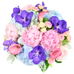 Photographed against a spotless white background, this luxurious hand-tied bouquet appears perfectly poised, its colours and textures glowing as if arranged moments ago in a North Watford studio. The design is densely packed into a rounded, domed shape, creating a sense of lushness and indulgence. At the centre, large pastel pink peonies unfurl in opulent, multi-layered petals, each bloom resembling a soft, romantic cloud that invites a lingering gaze. Surrounding them, voluminous clusters of sky blue hydrangeas add a calm, cooling presence, their countless tiny florets forming rounded mounds that support and cushion the more dramatic flowers. Threaded through the pastels, vivid fuchsia-purple Vanda orchids stand out with their exotic, speckled petals and rich jewel tones, injecting a note of contemporary glamour and intrigue. Coral pink calla lilies arc gracefully through the bouquet, their trumpet-shaped blooms and smooth, sculptural lines adding movement and refinement, almost like musical notes flowing through the composition. Filling the finer gaps, delicate light pink and creamy white spray roses bring a traditional, romantic charm, their small buds and open faces offering intricate detail and a suggestion of gentle perfume. Around the outer edge, soft silvery-green dusty miller leaves mingle with deeper green foliage, creating depth, contrast, and a hint of woodland coolness that tempers the brighter shades. The bouquet feels like a celebration of love and beauty, perfectly suited to milestone anniversaries, elegant thank-you gifts, or North Watford weddings, and ready to be delivered to homes near Cassiobury Park or offices off St Albans Road when you want your flowers to speak of luxury, care, and quiet sophistication.