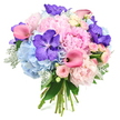 A richly detailed, hand-tied bouquet sits against a bright white background, its colours and textures allowed to shine without distraction. At the centre, soft light pink peonies bloom in full splendour, their many ruffled petals overlapping to form large, pillowy flowers that seem to float above the rest of the arrangement. Surrounding them, rounded clusters of powder blue hydrangeas create a soothing, cloud-like base, each tiny floret contributing to a look of gentle abundance and cool calm. Deep violet-purple Vanda orchids, with their distinctive speckled petals and luxurious, almost satin-like texture, are scattered thoughtfully among the softer blooms, injecting rich, sophisticated colour and an exotic flair. Elegant fuchsia pink calla lilies thread through the bouquet, their sleek, trumpet-shaped blooms adding curving lines and a slightly deeper, more dramatic pink that contrasts beautifully with the peonies' pastel tones. Between these statement flowers, blush pink spray roses peek out, their miniature, tightly formed blossoms adding a sense of intimacy and classic romance. The foliage frames everything with intention: glossy dark green leaves define the shape and deepen the palette, while silvery-green dusty miller introduces a soft, velvety look that cools the overall feel. The stems at the bottom are carefully gathered and tied, clearly visible to show the piece has been crafted by hand. The bouquet feels fresh and celebratory, perfect for a spring wedding reception in North Watford, an anniversary surprise delivered near the town centre, or a thoughtful gift to bring light and colour into a family home.