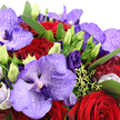 This image reveals a lush, close-up view of a romantic bouquet where purple Vanda orchids and deep red roses are intertwined in a rich, jewel-toned embrace, reminiscent of an elegant evening gathering in North Watford. The orchids, with their broad, intricate petals, shimmer in layered hues of lilac, ink-purple, and violet, each petal marked by darker speckles and fine veining that suggest both strength and delicacy. Between them, classic red roses rise in velvety spirals, their petals densely packed to form full, luxurious blooms that radiate warmth and passion. Adding further depth, velvety lisianthus in royal purple weave through the composition, some flaring open with softly ruffled edges, others still held in slim buds of lime-tinted green, signalling freshness and the promise of more beauty to come. Framing all of this are generous green leaves, their glossy surfaces catching the light and helping each bloom stand out clearly, the way colours pop on a bright afternoon near North Watford's parks and leafy streets. Wisps of chartreuse filler and faint touches of pale blossoms can be seen at the periphery, subtly softening the intense purples and reds. The tightly packed flowers create a sense of opulence and closeness, like a heartfelt embrace captured in petals. You can almost sense a gentle fragrance-sweet floral notes layered with cool, leafy freshness-making this composition ideal for romantic deliveries, from anniversaries and Valentine's surprises to meaningful birthday gestures, all carefully prepared for homes and celebrations across North Watford.