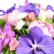 Captured against a clean, luminous white background, this abundant bouquet offers a vivid tapestry of soft pinks, rich purples and crisp whites, arranged with the practiced eye of a North Watford florist who understands how to balance drama and tenderness. At its centre, bold Vanda orchids in shades of lavender and deep royal purple immediately catch the gaze, their broad petals marked by intricate, net-like veining that adds a sense of artistry and exotic luxury. Flowing around these statement blooms are lush peonies, some cupped and shy, others fully expanded into generous, multi-layered blossoms that drift from pale ballet pink to a deeper, more romantic blush. Nestled between the peonies, small clusters of pink rosebuds peek out, their petals tightly wrapped yet hinting at future fragrance, alongside a few fully opened blush roses that provide a familiar, classic note. Dotted throughout the design, small white chrysanthemum pom-poms or similar delicate blooms introduce freshness and light, their fine, spiky petals creating a playful contrast in texture, as if tiny fireworks were scattered among the larger flowers. A collar of rich green foliage surrounds and supports the bouquet, leaves glossy and vibrant, with some edges lightly variegated to catch and reflect the soft studio lighting, evoking the greenery you might notice in North Watford's residential gardens. The arrangement is dense, with flowers placed closely together so that it feels luxuriant and full, suggesting celebration, affection and care. Every petal and leaf is picked out in even light, making this an ideal choice for marking birthdays, sending a romantic message, or offering an elegant thank-you to someone special in the local area.