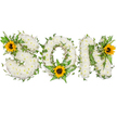 A tender, hand-crafted sympathy tribute spelling out the word SON in bold capital letters, photographed against a clean white backdrop so every petal and leaf reads clearly. Each letter is densely built from hundreds of small, pristine white chrysanthemums-soft, cloud-like blooms with a gentle, slightly honeyed scent-laid close together to form a plush, velvety surface. Dark green ivy tendrils weave through and around the letters, their glossy leaves trailing naturally and lending a living, evergreen frame that suggests continuity and quiet strength. Bright yellow sunflowers with rich, dark brown centres punctuate the design: a large bloom nestles into the upper left curve of the S, another sits low within the curve of the O among feathery fern fronds, and a third crowns the upper right of the N. The sunflowers' coarse, radiant petals and textured centres introduce warmth and optimism against the serene white chrysanthemums and varied green foliage. Fern fronds and pointed leafy sprigs add soft movement and depth, preventing the letters from feeling flat while offering contrast in tone and texture. The overall effect is reverent yet hopeful-a personalized funeral or memorial display that speaks of love, remembrance, and the gentle persistence of memory. As a local florist mindful of families around Cassiobury Park and the Vicarage Road area, I imagine this piece delivered with care for a graveside service or chapel tribute, its quiet composition catching the light in a way that comforts without overwhelming.
