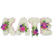 A tender, freestanding memorial spelled out in four upright letters that read 'KATE', each letter formed from a plush carpet of pristine white chrysanthemums that give the surface a soft, cloud-like texture. The edges and the inner contours of every character are traced with a subtle, pale pink satin ribbon that catches soft light and lends a delicate blush to the stark white of the blooms. Bright clusters of accent flowers punctuate the letters: velvety fuchsia-pink roses and smaller pastel pink spray roses are gathered with deep purple-blue sprigs-likely statice or tiny lisianthus-so that the saturated pinks and cool purples read as quiet, heartfelt statements against the white field. The arrangement placement is deliberate and symmetrical: the 'K' bears a prominent cluster on its diagonal stroke, the 'A' holds a grouping near its bottom-right curve, the 'T' is rooted with blooms at its base, and the 'E' is warmed by two bouquets on its middle bar and lower edge. Varied greenery - from feathery fern fronds to smooth, rounded eucalyptus leaves - frames each cluster, adding shadow, depth, and the faint, balsamic scent of eucalyptus between the sweeter rose notes. The overall mood is one of serene remembrance: clean, composed, and comforting. Soft studio light highlights the texture of the chrysanthemums and the satin sheen of the ribbon, while the compact, expertly wired clusters speak to a florist's careful hand. This bespoke floral name tribute is clearly intended for a funeral service or celebration of life, offering a personal, tactile way to honour someone named Kate with the modest, reverent artistry often requested by families across North Watford and nearby Cassiobury Park.