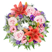 A beautifully crafted circular wreath is displayed against a bright white background, its colours and textures forming a calm yet expressive tribute. The ring is densely adorned with fresh flowers, dominated by soft blush and lavender-pink roses that are fully open, their layered petals creating a gentle, comforting look. Threaded among them are lisianthus blooms in soft pink and deep purple, ruffled and cup-shaped, adding visual interest and a sense of movement. Two large orange-red Asiatic lilies serve as striking focal points, one set near the top of the circle and another towards the bottom, their broad petals flaring outward and stamens clearly visible, offering a subtle sense of warmth and hope. Several unopened lily buds are nestled among the blossoms, hinting delicately at new beginnings. Light sprays of small, lavender-blue filler flowers, similar to statice, weave through the design like a soft haze. The flowers are supported by plentiful greenery: rounded, silvery eucalyptus leaves, dark green fern fronds, and textured foliage that provide structure. Spiky blue eryngium thistles dot the wreath, adding a unique architectural element and a cool, steel-blue accent. Here and there, brighter green leaves are folded and shaped to frame the lilies, showcasing the care and artistry of the florist. Altogether, the wreath conveys peace, remembrance, and enduring affection, a fitting floral tribute for a funeral or memorial service in North Watford, whether placed by the graveside or at the front of a quiet chapel.