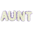 A calm, comforting tribute that spells out the word AUNT in large, sculpted capitals, each letter formed from a dense, cloud-like carpet of pristine white spray chrysanthemums. Up close the small, abundant petals create a soft, textured surface, and occasional pale yellow centres peek through like tiny sunlit hearts, adding warmth to the otherwise pure white composition. Each letter is edged with a rich, deep purple satin ribbon - carefully pleated and ruffled so that the sheen catches the soft studio light and defines every curve and corner, producing a delicate scalloped outline against the blooms. Subtle grey shadows fall beneath each letter on the clean white background, giving the arrangement a quiet three-dimensional presence as if the letters gently lift from the page. The overall impression is one of respectful tenderness: the chrysanthemums' faint, green-tinged fragrance and the tactile contrast between fluff of petals and the smooth satin ribbon speak of both durability and grace. This design reads as a personal message of remembrance, suited to a funeral service or a family memorial where warmth and dignity are needed. The workmanship feels practiced and intimate, as though prepared by hands who understand how symbols comfort the bereaved. Mentioning local feeling, the arrangement is the sort of commission often chosen by families in North Watford seeking a dignified, personalised farewell - a floral embrace that honours memory while offering a small, steady consolation to those who gather.