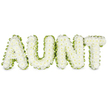 A graceful floral tribute spelling out AUNT is displayed against a crisp white background, the simplicity of the setting drawing your focus entirely to the flowers. Each capital letter is densely packed with flawless white chrysanthemum heads, their small, daisy-like blooms aligned closely so they form a plush, even surface. The petals appear soft and layered, creating a gentle, pillowy texture that evokes comfort and quiet reflection, as if inviting a moment of stillness amid the sorrow of a funeral service in North Watford. Tracing the outer edges of every letter is a fine border of fresh green foliage or ribbon, the lush green tone outlining each shape and providing just enough contrast to make the word immediately clear and readable. This subtle ruffle of greenery brings a sense of natural freshness, suggesting the enduring cycle of life that continues beyond loss. The letters stand in a neat row, evenly spaced and upright, conveying dignity, stability, and careful attention from the florist who arranged them. One can imagine this tribute placed lovingly beside the coffin or at the front of a chapel near North Watford's local churches, where family and friends gather to share memories of a beloved aunt. The overall impression is one of serene beauty and heartfelt respect, the cool whites and gentle greens working together to offer comfort, express unspoken emotions, and honour a special family relationship in a quietly eloquent way.