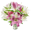 A generous, gallery-style bouquet of oriental lilies dominates the frame: pristine, creamy white blooms paired with deep fuchsia-to-magenta lilies, all arranged in a simple clear glass vase against a brilliant white backdrop. The composition shows lilies at every stage - fully unfurled trumpet- and star-shaped faces with graceful, silky petals, delicate anthers dusted faintly with pollen, and elongated buds that promise more colour to come. Dark green, lance-shaped foliage weaves between the flowers, giving structure and a fresh garden-like contrast to the vivid petal tones. Bright, even lighting sculpts each petal's texture and makes the white flowers glow softly while the pinks read as velvety and saturated. The transparent vase reveals neatly trimmed stems and clear water, a detail that signals careful handling and freshness. There is an implied, gentle perfume - a sweet, clean lily scent that suggests spring mornings and quiet celebrations; the arrangement feels equally suited to a birthday, an anniversary, or a thoughtful Mother's Day gift. As a local florist might explain while delivering to a home near Watford High Street or leaving this on a windowsill overlooking Cassiobury Park, the bouquet's balance of open blooms and poised buds offers both immediate impact and lasting enjoyment. The overall effect is elegant, joyful and refined - a classic lily display that reads as both sophisticated and warmly familiar to anyone in North Watford who has passed the market stalls or small independent shops along the high street.