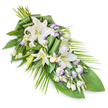 An elegant, elongated sympathy spray of white lilies and lisianthus is shown in full against a clean white backdrop, every element arranged with the kind of care you would expect from a trusted North Watford florist. The design flows from a rounded, more compact top section into a slender, tapering point, giving the piece a soft, directional movement that feels gentle and reassuring. At the heart of the arrangement, several large oriental lilies open their white, trumpet-shaped flowers, their petals broad, smooth, and slightly curved, with pale yellow stamens that add a subtle warmth without disturbing the overall serenity. Interwoven around these focal blooms are clusters of lisianthus, displaying a mix of open blossoms and tight buds. Their white petals are delicately tipped with light lavender or purple, like a faint brush of evening cloud, creating a quiet contrast that is still respectful for a funeral or memorial service in the local area. The flowers rest on a base of lush greenery: wide, dark leaves offer a deep backing, while some are folded and rolled in graceful, architectural forms that show the hand of an experienced florist. Long, slender fronds extend outward at angles, especially towards one side, accentuating the asymmetrical, natural shape of the tribute. The colour palette is calm and restrained-fresh greens, pure whites, and soft lavender hints-conveying sympathy, remembrance, and a message of peace. This floral spray would look fitting on a casket, beside a book of condolence, or at a small gathering in a North Watford home, providing a quiet focus for shared memories.