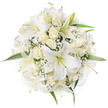 A large, immaculate round bouquet photographed from above against a pure white backdrop, its compact, symmetrical shape emphasising purity and calm. The dominant flowers are broad-petalled white lilies with softly curving trumpets; their pale green stamens and subtle yellow tips peek from the centres, giving the blooms a living, breath-like quality. Close to the lilies sit clusters of creamy ivory roses, most kept in tight bud or just beginning to unfurl, their velvety layers catching the soft studio light and creating a gentle gradation from cream to palest white. Sprigs of white Baby's Breath (Gypsophila) are woven throughout, their tiny cloud-like flowers lending a floating, frothy texture between the larger blooms and softening the bouquet's outline. A few bright green leaves emerge from beneath the massed flowers around the edges, offering a fresh visual counterpoint that keeps the composition from feeling purely monochrome. The overall impression is one of considered restraint - an arrangement that reads as bridal, ceremonial, or peacefully consoling, depending on the occasion. If you imagine this bouquet arriving for a wedding at Cassiobury Park or as a quiet sympathy gift delivered on Watford High Street, its restrained colour palette and dense, hand-tied construction speak of confidence and refined taste. The scent is implied in the composition: a faint, sweet lily perfume tempered by the soft, tea-like note of roses, and the airy lift of gypsophila. This aerial view highlights the craftsmanship in its symmetry and proportion, a classic design that feels both timeless and freshly made for meaningful occasions across North Watford.