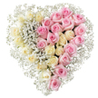 A romantic, heart-shaped rose tribute lies against a pristine white background, created as a gentle expression of sympathy and remembrance. The heart is divided vertically into two harmonious halves that meet cleanly in the centre, as if symbolising two lives always connected. On the left, closely packed creamy white to pale butter-yellow roses form a soft, luminous field of petals, suggesting peace, purity, and the stillness of final rest. On the right, an equally dense panel of soft pink roses offers warmth and tenderness, each rosehead open and full, with curled petals that hint at stories and memories layered over time. Tiny, cloud-like tufts of pure white baby's breath are tucked carefully between the roses and trace the entire outline of the heart, adding a delicate, airy texture that softens the shape and makes the colours gently glow. The overall finish is neat, symmetrical, and full, with no gaps, reflecting the careful touch of a florist accustomed to creating funeral tributes for families around North Watford. Though the background is simple and bright, the mood of the arrangement is quiet and contemplative, as if ready to be placed at a graveside service or memorial near Garston or along the quiet streets off St Albans Road. This heart of roses and gypsophila feels especially fitting when words are hard to find, offering a visual message of love, farewell, and gratitude that lingers long after the service has ended.