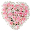 A densely packed heart of soft pink roses and airy white baby's breath rests against a pristine white backdrop, the composition filling the frame like a quiet promise. From a florist's vantage, the roses read as a chorus of pastel tones - from the palest blush at the outer petals to slightly warmer pinks at the cupped centres - each bloom at a different, intimate stage: some are neat, furled buds that hold their scent like a secret, while others are gently unfurling, revealing delicate spirals of velvety petals. The tiny gypsophila blooms sit like spun glass snow between the roses, their fine stems and cloud-like clusters weaving lightness through the dense heart and sharpening the silhouette so the shape reads unmistakably as a symbol of devotion.

Soft, studio-bright lighting lifts the texture of each petal; you can almost sense the satiny coolness under fingertips and the faint, classic perfume of garden roses rising from the centre. The arrangement's symmetry is careful but never mechanical - a hand-made geometry that suggests both technical skill and an emotional intention to comfort and celebrate. I picture this bouquet finding its way to a table after a small ceremony in Cassiobury Park, or as a tender anniversary gift carried home past the shops on Watford High Street. It is made for moments that ask for understatement and depth: Valentine's vows, a private wedding keepsake, or a quiet sign of gratitude. The overall impression is one of serene, intimate romance - an object that reads to the eye as perfectly composed and to the heart as utterly sincere.