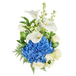 A vertically presented bouquet photographed against a pure white background, this arrangement evokes serene elegance through a restrained palette of deep blue, creamy white and verdant green. At the visual centre sits a dense, rounded head of cobalt-blue hydrangea whose hundreds of tiny florets form a plush, cloud-like mass that immediately draws the eye. Three sculptural white calla lilies rise above and around this dome, their smooth, waxy trumpets curling with refined poise and revealing pale yellow spadices that punctuate the composition. Scattered between these elements are creamy white roses, their layered petals unfurling with a classic softness that tempers the hydrangea's intensity. Spikes of white stock (or snapdragon-like blooms) add vertical rhythm and an airy texture, the small clustered flowers lending a quiet fragrance that suggests fresh linen or a summer evening. The bouquet is framed and supported by a mix of glossy broad leaves and feathery, fern-like foliage such as leatherleaf, which give depth and a gallery of green tones from deep forest to bright emerald. Soft, directional lighting highlights the satin sheen of the calla petals and the minute textures within the hydrangea, while leaving gentle shadows that reinforce the arrangement's three-dimensionality. Emotionally, the design reads as dignified and calming - equally suited to offering sympathy, marking an anniversary, or celebrating a thoughtful achievement. A seasoned florist's hand is evident in the balanced proportions and considered placement of each stem, delivering a composition that feels modern, timeless and quietly reassuring to the eye and the heart.