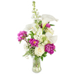 A luminous, celebratory bouquet arranged in a gently curved clear glass vase, photographed against a clean white backdrop. At its core, sculptural white calla lilies rise with their sleek, trumpet-shaped petals and pale yellow spadices, drawing the eye upward with a quiet, modern elegance. A tall spire of white stock lends vertical movement and soft clustered florets, while nearby bursts of deep magenta peonies provide dramatic, velvety contrast - two fully unfurled peonies reveal layers of ruffled petals in the lower half of the design, and a smaller, tightly closed bud suggests beauty yet to unfold. Nestled at the base, a single creamy white rose with tightly spiraled petals anchors the composition, offering a classical counterpoint to the peonies' exuberance. Wisps of baby's breath (Gypsophila) are woven through the arrangement, creating an airy, cloud-like texture that softens the brighter hues. Lush green foliage - from slender, fern-like fronds to broader glossy leaves - frames each bloom, enriching the colours and giving the bouquet a fresh, garden-picked feeling. The vase's clear water reveals stems and adds a truthful, living quality to the display, catching the light and enhancing the floral forms. The overall impression is one of refined celebration and gentle romance, suited to birthday congratulations, an anniversary, or a thoughtful gesture to mark new beginnings. The scent is implied - cool calla, honeyed peony and a faint, green freshness - and the arrangement reads as carefully composed by an experienced florist mindful of balance, texture and heartfelt intention.