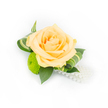 A finely styled boutonniere photographed against a clean white backdrop, centered on a single full peach rose whose petals fold softly like candlelit silk. The rose's outer petals carry a pale apricot wash while the innermost spirals deepen to a warmer peach, suggesting the gentle, sweet scent of early-morning blooms. Nestled to one side, a lime-green button chrysanthemum provides a playful, cushion-like contrast: its tiny florets form a compact, almost mossy sphere that brightens the composition with vernal energy. Dark ruscus leaves create a rich, supportive base; their glossy, deep-green surfaces anchor the arrangement and give the rose a dignified silhouette. Interleaved are slim, pale-striped variegated leaves, artfully curled to suggest motion and finished edges, lending an elegant architectural line to the cluster. From the lower curve, a single strand of lustrous faux pearls trails softly, catching the light and introducing a vintage whisper that pairs beautifully with modern simplicity. The lighting is bright and directional, sharpening textures and casting minimal, soft-edged shadows that emphasize the freshness and handcrafted quality. As a formal accessory this piece reads as quietly celebratory-ideal for a wedding buttonhole, prom corsage, or anniversary lapel-and its palette evokes calm optimism rather than loud pageantry. To a client in and around North Watford-perhaps collecting near Cassiobury Park or passing Watford High Street-the composition communicates thoughtful, wearable floristry: tactile petals, crisp foliage, and a touch of heirloom glamour rendered with careful balance and local know-how.