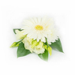 A delicate white corsage captured against a pristine, bright white backdrop: at its heart sits a fully open white Gerbera daisy, its creamy petals layered like silk and fanning outward around a textured yellow-green center that feels sunlit and fresh. Surrounding the Gerbera are soft Eustoma (Lisianthus) blooms and buds - two blooms partially unfurled with gently ruffled, creamy white to pale yellow petals that add subtle depth and a tender, tactile quality. A smaller, layered white daisy or chrysanthemum peeks from the upper right, contributing to the compact fullness while several slim, light green Eustoma buds, some tightly closed and others beginning to loosen, promise gentle movement and growth. Broad, deep emerald green leaves cradle the cluster, their waxy surfaces providing a cool, restful contrast to the airy whites and lending botanical weight to the design. On the right, a few tiny, shimmering white pearl beads are discreetly woven into the foliage, adding a faint hint of refinement that suits formal occasions. The lighting is soft and diffuse, allowing textures to read clearly without harsh shadows; one can almost sense a light, clean floral scent as if the piece had just been picked on an early spring morning. As a local floral detail, I imagine this corsage pinned to a lapel at a wedding near Cassiobury Park or carried at a christening on Watford High Street, its cool, elegant palette evoking calm and joy. The overall impression is one of poised simplicity - an expertly arranged, garden-fresh accessory that balances quiet luxury with natural tenderness for meaningful, local celebrations in North Watford.