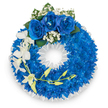 A dignified circular wreath laid against a clean white backdrop, its entire body composed of a dense, plush carpet of vivid, electric royal blue chrysanthemums or similar small-petalled blooms that read almost velvety at a glance. At the very top three fully opened royal blue roses form a serene focal cluster, their velvety spirals softened by sprays of tiny, cloud-like white baby's breath and a few deep green leaves that add a quiet, natural contrast. From the left side a graceful cascade of pristine white orchid stems - likely Phalaenopsis - unfurls with broad, delicate petals and a gentle, arching line; several pale yellow-green buds along a slim stem suggest quiet renewal amid the solemnity. The inner edge of the wreath is tidily finished with a finely ruffled white satin ribbon, its subtle sheen framing the central negative space and lending a formal, composed edge to the composition. The surface texture shifts between the compact, almost tactile mass of blue blooms and the airy, lace-like pockets of white accents, and under soft studio light the blues glimmer with cool intensity while the whites remain pure and calm. The overall effect is a careful marriage of bold colour and hushed grace, a floral tribute that speaks of remembrance, respect and peaceful farewell. As a local florist who has prepared memorial pieces for families from Cassiobury Park to Watford High Street, I imagine this wreath resting gently beside a service booklet, its scent faintly floral, the arrangement imparting comfort and dignity at a funeral or memorial gathering in North Watford.