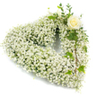 A tender, heart-shaped tribute sculpted almost entirely from a dense cloud of tiny white Gypsophila (Baby's Breath) petals, the blooms pressed close together until they form a soft, luminous surface that reads like fresh fallen snow. The heart's right-hand arc is gently interrupted by a single creamy-white rose, its petals still forming a neat spiral and catching a faint, powdery rose scent that blends with the airy, slightly herbal whisper of the gypsophila. Intertwined along the right side are slender, eucalyptus-like sprigs and glossy variegated ivy with lobed leaves, their cool green tones lending structure and a quiet living rhythm to the design. Soft, even light from a studio-white background reveals the delicate shadows between clusters, highlighting the arrangement's fine textures and the florist's careful hand that threaded each stem to keep the silhouette pure and unbroken. The overall impression is one of peaceful dignity and consolation, an emblem of love and remembrance suited for funeral services or a sympathy tribute, where the purity of white and the single rose speak of respect and enduring memory. Imagined in the calm neighbourhoods near Cassiobury Park and the quieter streets off Watford High Street, this composition evokes the kind of reassuring stillness families seek when they gather to remember, an arrangement that reads as both tender and steadfast in its simplicity.