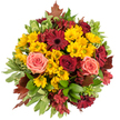 Seen from above against a clean white background, this hand-tied autumn bouquet radiates warm, harvest-coloured cheer. A dense, circular composition holds bright golden-yellow button chrysanthemums in profusion, their cushiony heads catching the light like small suns. Deep burgundy gerbera daisies, with broad, flat faces and darker centres, punctuate the arrangement and lend a theatrical, autumnal depth. Scattered among them are fully opened roses in two complementary moods: velvety crimson red that reads almost wine-dark, and softer coral-pink to peach tones that unfurl in delicate spirals. Star-shaped alstroemeria in cranberry and reddish-brown fill the gaps, their fine markings and slender petals adding filigree texture between the bolder blossoms. Around the perimeter, glossy broad greens and variegated light-green leaves with creamy edges provide a fresh, structured backdrop; their smooth surfaces and slight sheen balance the matte petals. Reddish-brown maple-like leaves peek from the edges, their curled shapes and rustic veins reinforcing the seasonal story and giving a natural, woodland feel. The overall scent is faintly sweet with green, leafy undertones-like a late summer walk that tips into fall. The bouquet's compact, layered build suggests careful stem placement and floral craftsmanship, ideal as a Thanksgiving table centrepiece, an autumn wedding accent, or a thoughtful gift to warm a home on a crisp North Watford evening. It reads as both abundant and composed, the colours and textures working together to convey gratitude, comfort, and the quiet pleasure of the season.