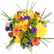 From directly above, a beautifully rounded bouquet fills the frame, resting on a bright white background that makes every colour sing, as though it were freshly arranged in a North Watford florist's workshop. The collection feels full and generous, its blooms tightly clustered so that yellows, oranges, greens, purples, and reds blend into a vibrant, seamless tapestry. Soft yellow roses, their petals layered in gentle spirals, mingle with large, fluffy yellow chrysanthemums, together forming a glowing heart of sunshine tones at the centre of the design. Radiating out between them, orange gerbera daisies with dark central disks bring bold, graphic bursts of colour, like little fireworks frozen in bloom. Interlaced among these are neat lime-green button chrysanthemums, their tidy, rounded forms and slightly fuzzy texture adding both structure and a refreshing, springlike quality. Threaded more quietly through the bouquet are rich purple lisianthus flowers, some open and velvety, others in slender buds, providing a cool, elegant counterpoint to the warmer hues. Small sprays of glossy red hypericum berries punctuate the arrangement, lending tiny, jewel-like accents that catch the eye and suggest a touch of seasonal charm. Fine strands of bear grass arc and twist outward from the flowers, giving the bouquet lightness, movement, and a slightly contemporary edge. The overall effect is one of bright joy and celebration, a bouquet that feels perfect for birthdays, congratulations, or same-day delivery to lift someone's spirits anywhere in and around North Watford.
