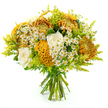 A hand-tied bouquet, glowing with late-summer and autumn warmth, is shown upright against a clean white background, every blossom clearly defined as if just prepared for delivery in North Watford. The arrangement forms a rounded, generous shape, dominated by large, spiky chrysanthemums whose petals radiate outwards in layered shades of bright golden yellow, fiery orange, and deep, earthy rust. These rich tones are softened by creamy white roses nestled between them, their smooth, delicately curled petals offering a refined contrast and a hint of romantic softness. Bright yellow-orange celosia blooms snake through the bouquet, their unusual, brain-like curves and plush, velvety texture lending an artistic, almost sculptural quality that catches the eye immediately. Sprinkled throughout are sprays of small, white daisy-like flowers with sunny yellow centers, like tiny chamomile blossoms gathered from a path near Cassiobury Park, adding a light, cheerful sparkle to the design. Around and between the flowers, feathery lime-green solidago and other fresh greenery provide a lively backdrop, their fine textures and varied leaf shapes creating movement and fullness while highlighting the warm colours. At the base, the natural stems are aligned in a tidy bundle and wrapped securely with green florist's tape, clearly showing this is a professional hand-tied bouquet, ready for a vase or gift wrap. Bright, even lighting emphasizes the interplay of smooth rose petals, ruffled chrysanthemums, and velvety celosia, making the whole arrangement feel vibrant and freshly picked. The overall impression is of a joyful, harvest-inspired bouquet, ideal for birthdays, get-well wishes, or simply brightening a North Watford home with a touch of seasonal colour.