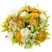 Set against a flawlessly white background, this sophisticated bouquet glows with the warmth of autumn and the care of a skilled North Watford florist. At a glance, the eye is drawn to the impressive chrysanthemums that dominate the arrangement, their large heads brimming with petals in golden yellow, bronze, and deep, fiery orange. Some blossoms are almost perfectly round, built from countless ruffled layers, while others display that intriguing, brain-like texture in mustard and chocolate tones, adding an artistic edge. Between these striking blooms sit several creamy white roses, their gently spiralling petals offering softness and poise, like calm moments of light in a sunset-coloured sky. Dotted throughout are small clusters of white, daisy-like flowers-likely feverfew or chamomile-with neat yellow centres that bring a playful, garden-fresh charm, reminiscent of wildflowers edging a path near North Watford's green spaces. Threaded between all the flowers are airy stems of bright lime-green foliage, similar to solidago, their feathery plumes giving both volume and movement while lifting the palette with fresh, verdant notes. The bouquet is arranged in a rounded, abundant form, carefully balanced so that each bloom has space to be seen yet contributes to a single, harmonious whole. The bright, even lighting reveals every curve and texture, from velvety rose petals to the finely cut edges of chrysanthemum florets. This is the kind of arrangement perfect for sending comfort, congratulations, or seasonal cheer to homes and offices across North Watford, bringing a touch of golden-hour warmth indoors even on a grey day.