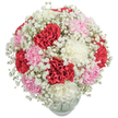 Conjuring images of joyful reunions and cherished moments in North Watford homes, this artful bouquet is a triumph of texture and colour. At the heart of the arrangement, lavish carnations in bright red, soft blush pink, and pristine white unfurl their layered, ruffle-edged petals in a lush, rounded composition. Clusters of delicate Baby's Breath create a halo around the main flowers, their cloudlike, snowy blooms bringing a sense of airy elegance and gentle movement, much like the breezes that dance over Oxhey Park on a sunny afternoon. Each element is meticulously placed, achieving a soft yet striking effect - the bold carnations set amongst the fine mist of Gypsophila, producing visual depth and an inviting, dreamy quality. Cradled in a clear glass vase whose sturdy base is just visible, the arrangement relies on classic floristry techniques honed by North Watford's skilled designers. The result is an evocative bouquet, ideal for birthdays, anniversaries, or spontaneous celebrations, that radiates warmth and gratitude. Its luminous palette and fresh, intricate textures are a floral ode to the community spirit found throughout North Watford, offering comfort, joy, and a touch of everyday beauty with every expertly arranged petal.