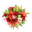 Seen from a slightly elevated angle against a clear white backdrop, this luxurious hand-tied bouquet reads like an autumn sunrise - a full, rounded composition of warm, saturated blooms and glossy greenery. At the visual heart several large Asiatic lilies unfurl in a dramatic orange-red, their recurved petals mottled with tiny darker speckles and centred by prominent stamens that add sculptural depth. Around them, vivid crimson Gerbera daisies offer bold, radiating petals and darker central disks that anchor the colour story, while soft blush-pink roses appear in varied stages from tight buds to gently opened rosettes, bringing a tender, romantic counterpoint. Small clusters of bright red hypericum berries catch the light like polished beads, introducing playful, jewel-like texture against the smoother petals. A generous mix of foliage - broad, solid green leaves, longer pointed lily foliage, and a few variegated leaves streaked with pale green and white - creates a layered backdrop that gives the arrangement its lush volume. The interplay of textures is tactile in imagination: papery lily blooms, velvety rose petals, the waxy gleam of berries, and the crispness of fresh greenery. Gentle studio light softens shadows and highlights the flowers' edges, while an implied sweet-spicy fragrance invites you closer. As a florist in North Watford I picture this bouquet brightening a living room near Cassiobury Park or arriving as an uplifting anniversary gift to a neighbour on Queens Road - confident, joyful, and crafted with careful balance between drama and tenderness.