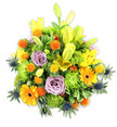 A lush, mounded bouquet shown against a clean white background, where warm late-morning light softens the colours and reveals careful floral craftsmanship. Bright yellow Asiatic lilies form the vertical heart of the design, some opened wide with speckled throats and visible stamens, others held as elongated buds that point upward like hopeful gestures. Interwoven are soft lavender-purple roses, their petals curling in classic spirals that introduce a gentle, romantic coolness beside the vivid warms. Large orange Gerbera daisies punctuate the surface with flat, sun-like faces and darker centres, while ruffled lime-green button chrysanthemums provide a mossy, tactile fullness that cushions and unifies the composition. Scattered throughout are small spherical orange and golden-yellow accents, their slightly spiky texture offering playful sparks of energy between the larger blooms. Cooling the palette and adding an architectural edge are several blue-grey Eryngium thistles, their star-shaped bracts and rigid stems pushing through the lower and side layers to create intriguing contrast. A variety of glossy and matte green foliage - from broad lily leaves to smaller filler greens - frames every bloom and gives the bouquet its rounded, abundant silhouette. The scent is implied in the arrangement, a bright, slightly sweet lift from lilies and roses with the brisk, almost herbal note of the thistles and fresh greenery. This bouquet reads as a celebration piece suitable for birthdays, housewarmings by Cassiobury Park, or as a comforting, dignified tribute. The overall mood is joyful and composed, a contemporary arrangement that balances exuberant colour with thoughtful texture and form.