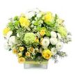 A rounded, exuberant bouquet of yellow, white, and green blooms sits neatly in a clear square glass vase, showcased against a bright white background that makes the colours appear especially vivid. The arrangement is anchored by classic yellow roses, some fully opened to reveal their layered, velvety hearts, others held in elegant bud form, surrounded by clusters of smaller yellow spray roses that add a playful, clustered texture. Interwoven with these are white pompom chrysanthemums, each bloom forming a dense, spherical cushion of fine petals that brings a plush softness to the design. Pops of lime green button chrysanthemums dot the bouquet like tiny, glowing orbs, while larger, softly ruffled pale green flowers-resembling green carnations or decorative mums-introduce a gentle, frilly texture. The flowers nestle into a generous bed of mixed foliage: broad, variegated leaves edged in creamy white, dark green sprigs, and more delicate wisps of greenery that spill slightly over the vase edge, giving the arrangement a natural, garden-fresh feel. Small white filler blooms, reminiscent of waxflower or baby's breath, are tucked among the larger flowers for subtle sparkle and extra fullness. Around the middle of the vase, a band of rustic, woven natural material is wrapped snugly, overlaid with a bright lime green ribbon that ties in beautifully with the green button mums. Crafted with the thoughtful touch you'd expect from a local North Watford florist, this cheerful design would feel at home on a coffee table near Watford Junction or as a bright thank-you gesture delivered to a colleague's office, radiating positivity and gentle celebration.