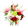 A richly detailed hand-tied bouquet is shown against a bright white background, each bloom crisply defined as though just lifted from a water bucket in a North Watford flower shop. At its heart, several deep crimson roses open with velvety precision, their layered petals creating a feeling of intimacy and classic romance. Around them, generous pink lilies fan out, some fully open with soft, sweeping petals and dustings of darker pink near their centres, others still in smooth, green-tipped buds that promise unfolding fragrance over time. Supporting these statement flowers is a lush bed of ruffled white blooms-similar to hydrangeas or large carnations-forming a pillowy base that gives the arrangement fullness and softness, like a cloud of petals. Nestled near the middle, a compact globe of lime green dianthus provides a striking burst of colour and intricate, moss-like texture, giving the bouquet a modern flourish. Feather-light sprays of pale pink astilbe stretch gracefully upwards and outwards, softening the outline and adding a gentle, almost misty quality reminiscent of early mornings in nearby parks and gardens around North Watford. Tiny accents of fuchsia and lavender blossoms are tucked between the larger stems, creating moments of surprise and playful detail on closer inspection. Dark green leaves weave through the composition, grounding the brighter tones and evoking the freshness of locally sourced stems. The natural stems are clearly visible at the base, bound tightly with a slim red satin ribbon that underscores the handcrafted nature of the design. Altogether, the bouquet radiates celebration and tenderness, ideal for marking anniversaries, birthdays, or a heartfelt flower delivery to friends and family across North Watford.