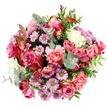 Captured against a pure white background, this bouquet appears as a lush, rounded island of colour and texture when viewed from above, each bloom carefully placed to create a harmonious whole. At the centre are full, velvety roses in deep fuchsia and gentle blush pink, some petals edging toward cream, their open faces revealing spirals of overlapping layers that speak of classic romance. Encircling them, softly ruffled peach-pink carnations form voluminous clusters, their many petals giving the arrangement a plush, almost cushion-like feel. Threading between these larger blossoms are clusters of small, daisy-shaped chrysanthemums in a clear lavender-purple, each with a vivid lime-green centre that stands out brightly and adds a playful, contemporary touch. Pale cream and white flowers are woven throughout, softening the stronger tones and keeping the composition light and elegant rather than heavy. Around the blooms, a frame of foliage ties everything together: rounded eucalyptus leaves in muted silvery green introduce a cool, slightly blue tinge, while darker green leaves supply depth, as if the bouquet had just been gathered from a well-tended garden in North Watford. Slender leaves streaked with reddish-pink run through the design like subtle brushstrokes, echoing the roses' warm hues and suggesting the gentle shift of the seasons. The lighting is soft and even, allowing each colour and petal texture to be easily imagined by touch and memory. It feels like the sort of bouquet a local might send across North Watford to brighten a home near Garston or along St Albans Road, perfect for birthdays, thank-you gestures, or simply adding a burst of fresh beauty and fragrance to an ordinary day.