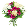 Captured against a pristine white background, this bouquet looks freshly finished, as though it has just been lifted from a florist's bench in North Watford and set before the camera. At its core, several creamy white roses bloom fully, their petals unfolding in soft spirals that suggest gentleness, affection, and classic style. Encircling these central roses, white spray chrysanthemums form clusters of small, daisy-like flowers, their fine, radiating petals and pale green centres adding a delicate brightness and airy lightness to the design. Interspersed throughout, deep magenta and fuchsia spray chrysanthemums bring richness and depth, their densely layered petals forming compact cushions of colour that immediately catch the eye, reminiscent of vibrant accents along St Albans Road or near Watford Junction. The blooms are embraced by dark green foliage-likely Ruscus or Salal-whose glossy, slightly curved leaves create a lush, protective frame around the arrangement, giving it a rounded, well-balanced silhouette. At the base, the stems are neatly aligned and tied together, confirming this is a professional hand-tied bouquet, ready to slip into a vase in a living room near Garston or a cosy flat close to Cassiobury Park. Bright, even lighting illuminates the bouquet, drawing out the velvety texture of the roses, the crisp detail of the chrysanthemums, and the sleek sheen of the greenery. The combination of creamy whites, vibrant magentas, and fresh greens creates an impression of gentle celebration and warmth, suitable for birthdays, congratulations, or simply sending an uplifting surprise to someone special in North Watford.