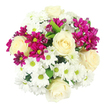 A generous, round bouquet is pictured from a bird's-eye view, filling the image with a dense, velvety carpet of cream roses, white daisy chrysanthemums, and vibrant fuchsia spray chrysanthemums, all set against a clear, white backdrop. The roses appear in full, creamy tones, each bloom a carefully layered swirl of petals that seem to glow softly, giving the arrangement an air of quiet elegance and care. Between these rose centres, the white chrysanthemums spread in tidy, daisy-like rings, their pure petals leading the eye to the small yellow-green centres that offer a lively, almost dewy brightness, reminiscent of early walks through North Watford's residential streets when gardens first catch the morning light. Threaded throughout, the magenta spray chrysanthemums bring a bold yet cheerful contrast; their smaller, clustered flowers and occasional rounded buds introduce movement and rhythm, as though the bouquet is alive with gentle conversation between colours. Here and there, slivers of dark green leaf emerge beneath the petals, adding just enough foliage to frame the blooms without overwhelming them. The lighting is soft and even, so every detail-from the subtle sheen on the rose petals to the fine texture of the chrysanthemum centres-can be imagined clearly. Crafted with the practiced hand of a local florist, this bouquet feels perfectly suited to North Watford homes and offices, ideal for marking a happy milestone, offering comfort during recovery, or simply bringing a refined splash of colour to a dining table or desk near the High Street or along St Albans Road.