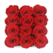 Viewed from directly above, the image focuses entirely on a lavish cluster of twelve red roses, ordered with geometric precision into three rows of four inside a dark, almost hidden box. Each bloom is at that perfect stage of openness where the petals are fully unfurled yet still hold a graceful, cupped shape, revealing layered spirals that draw the eye inward. The roses are pressed closely together so their velvety petals meet, forming a seamless field of deep crimson with no foliage or gaps in between. Soft, even lighting gently illuminates the outer petals, while the innermost curls fall into shadow, lending a sense of depth and quiet drama to the arrangement. Only a thin sliver of reflective edging at the base hints at the container, leaving the intense red blooms to dominate the composition. As a North Watford florist, this is the kind of carefully balanced design I imagine arriving at a doorstep off St Albans Road or near the tree-lined streets leading towards Cassiobury Park-a refined, contemporary alternative to a traditional bouquet. The overall effect is intimate and striking, ideal for marking a significant anniversary, a romantic milestone, or an elegant Valentine's surprise. You can almost sense the soft brush of petals under your fingertips and the subtle, familiar rose scent rising as the lid is lifted. The arrangement conveys a message of unwavering passion and thoughtfully crafted affection, reflecting both the artistry behind it and the emotion of the sender in the North Watford community.