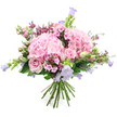A romantic hand-tied bouquet in soft pinks and lavenders is displayed against a bright white background, the colours gently radiating as if illuminated by calm North Watford daylight. Two large, rounded clusters of blush pink hydrangeas anchor the arrangement, each dense bloom made up of numerous dainty petals that create a plush, cloud-like surface. Around and between them, pale pink roses unfold in varying stages of bloom, some wide open with elegant spirals at their centres, others still in compact buds that hint at future blossoms. Slender stems bearing bell-shaped flowers in pastel lavender and lilac tones, similar to campanula or garden bellflowers, lift the eye upward and outward, giving the bouquet a sense of height and airy movement, like a breeze passing through flowerbeds near Cassiobury Park or along the streets of North Watford. Threads of deeper pink filler flowers are scattered throughout, their tiny clustered petals adding intricate texture and little flashes of richer fuchsia and rose. Fresh green foliage holds everything together, with different leaf shapes and tones of green framing the blooms, emphasizing their softness and suggesting just-cut freshness from a local florist's bench. At the base, the gathered stems are visible, neatly trimmed and tied, ready to be placed into a favourite vase on a dining table or windowsill. The overall impression is tender and joyful - a bouquet that feels perfect for a birthday surprise, a quiet anniversary dinner at home, or a thoughtful thinking of you gesture delivered across North Watford.
