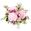 In this image, a lavish pink and lavender bouquet is captured against a clean white background, its colours and textures glowing as if in gentle morning light. At its centre sit three large, rounded hydrangea heads in a soft, powdery blush, their densely ruffled petals giving the arrangement a luxurious, cloud-like fullness. Around these, elegant pink roses weave in and out, some still in tight bud and others partially or fully open, their layered petals forming graceful spirals that draw the eye deeper into the design. Fine, branching stems of deep magenta waxflower are scattered throughout, each dotted with tiny star-shaped blooms that punctuate the softer tones with lively, jewel-like accents. Intermingled are smaller, five-petalled pink blossoms that echo the surrounding hues, adding gentle texture without disturbing the bouquet's calm balance. From the edges rise slender, arching stems of campanula, their bell-shaped flowers tinged in lilac and periwinkle blue, bending outward to create a soft halo around the main shape. Here and there, fresh green hydrangea leaves and slim stems peek through, giving a hint of the garden and anchoring the pastels with natural depth. The overall composition feels lush yet airy, like a breath of spring drifting across North Watford from the direction of Cassiobury Park. It is easy to imagine this bouquet cradled in someone's arms on a milestone birthday, or arriving by local delivery to a quiet street near Watford Junction, bringing with it a light, sweet fragrance and a sense of thoughtful, heartfelt celebration.