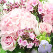 A lush bouquet in soft pink and lilac tones fills this close-up image, radiating a quiet, romantic charm that feels right at home in North Watford's tree-lined neighbourhoods. At the heart and extending toward the upper left sits a large blush hydrangea head, its countless tiny petals overlapping into a rounded, cloud-like form that looks both airy and full. Surrounding it, classic blush roses provide focal points of deeper pink, one rose opening generously on the lower left with a velvety spiral of petals, another emerging from the mid-right with a slightly tighter, layered profile. Threaded among these larger blooms are delicate sprays of smaller flowers in vibrant fuchsia and magenta, probably waxflower or phlox, their petite, star-shaped or five-petaled blossoms and darker centres adding intricate contrast and a sense of playful movement. Near the bottom right edge, a soft lavender bell-shaped bloom, akin to campanula, leans outward, introducing a cool lilac note that gently lifts the predominantly pink palette. The flowers are nestled into a foundation of rich green foliage and slender stems, which provide depth and a natural, freshly picked look, like something gathered from a local garden near Callowland Park. The lighting is bright yet diffused, creating a soft glow across the petals and catching subtle highlights without harsh shadows, emphasising the bouquet's tender textures. Overall, the arrangement conveys affection, comfort, and celebration-an ideal choice for birthdays, anniversaries, or simple thinking of you gestures, especially when sent as a same-day surprise across North Watford.