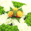In this image, a large floral cross has been designed with both Irish symbolism and gentle remembrance in mind, reflecting the kind of thoughtful tributes often delivered to churches and chapels across North Watford. The entire structure of the cross is built from pristine white chrysanthemums, their many petal layers pressed closely together to form a thick, soft carpet of blooms that suggests purity and quiet comfort. Around the outer edges, vivid lime-green button chrysanthemums form a neat border, their compact, rounded flower heads introducing a mossy, tactile texture that frames the white centre and brings a sense of renewed life and hope. At the very centre of the cross sits a trio of roses, arranged like a glowing emblem. Their colours range from deep, warming orange to a softer, golden yellow-orange, each rose unfolding in velvety spirals that draw the eye inward. Threaded between the roses are clusters of bright green filler foliage and delicate, ferny leaves that reach out like gentle green feathers, adding depth and a natural rhythm to the overall composition. The light across the flowers is even and natural, enhancing the contrast between the clean whites, fresh greens, and sunlit oranges. The result is a dignified funeral arrangement that might rest by a coffin in a small church off the High Street or be laid at a graveside near Cassiobury, a tender expression of grief, faith, and Irish heritage created with the care and understanding of a local North Watford florist.