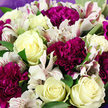 In this detailed close-up, a luxurious bouquet seems to press gently toward the viewer, as if placed right on a workbench in a North Watford floral studio. Creamy white roses rise proudly from the center, each bud at a slightly different stage of opening, from tight, promise-filled spirals to fuller blooms with velvety petals curving outward. A few of these petals carry the faintest blush of pale yellow at their base, suggesting warmth and depth within the flower. Encircling the roses, deep magenta carnations add a bold, jewel-toned counterpoint; their many-layered, ruffled petals create waves and folds, bringing a tactile richness that almost looks soft enough to sink your fingers into. Weaving through the composition are white alstroemeria, their long, slender petals tipped and lined with fine pink and burgundy markings that lend an artistic, almost hand-drawn quality. Pockets of lush green foliage appear between each cluster, the smooth leaves catching the light and giving definition to the overall shape so each blossom stands clearly on its own. A border of gentle lavender wrapping is just visible at the edges, echoing the purple tones in the carnations while maintaining a quiet, elegant background. The lighting is even and calm, allowing the interplay of creams, greens, and berry purples to shine without distraction. The bouquet reads as considered yet natural, like a thoughtfully curated gift chosen by someone in North Watford who wants their message-whether congratulations, sympathy, or simple appreciation-to arrive wrapped in softness, colour, and a sense of heartfelt care.
