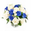 An impeccably styled blue and white sympathy bouquet is displayed in a simple clear glass vase, photographed from a gently raised viewpoint against a pure white background that highlights its calm elegance. The flowers are gathered closely into a rounded, dome-like form, giving the arrangement a full, generous look with no empty spaces. Soft ivory and creamy white roses dominate the composition, their unfurling petals forming intricate spirals that suggest tenderness and care. Among them, bold royal blue roses are carefully placed, their velvety petals adding drama and depth, like fragments of an evening sky settled among clouds. Between the roses, white freesia stems emerge gracefully, each bearing clusters of small, bell-shaped blooms that bring a sense of movement and a hint of imagined fragrance. Tiny stems of white gypsophila weave delicately through the bouquet, softening edges and creating a gentle haze around the larger flowers. At the base, rich dark green foliage peeks out, providing contrast and a natural, grounded feel. The cylindrical vase, with its subtly ribbed base, holds the straight, trimmed stems in clear water, catching reflections from the light and adding a discreet shimmer. The overall mood is serene and reflective, a design that speaks of quiet support and remembrance rather than showiness. It looks like the kind of bouquet a thoughtful North Watford florist might deliver to a family home off St Albans Road or to a small chapel near Garston, a comforting presence placed on a side table or near a framed photograph, offering a visual expression of sympathy and enduring love.