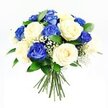 A hand-tied bouquet of blue and cream roses is presented against a clean white backdrop, its rounded shape and balanced colours designed to evoke peace and comfort for families in North Watford. The composition alternates striking sapphire blue roses with equally full cream and ivory blooms, so that each hue enhances the other. The blue roses are richly saturated, their velvety petals curling outward in layered whorls that catch the light and cast gentle shadows, giving the bouquet a sense of depth and structure. In contrast, the cream roses feel soft and luminous, like candlelight on a quiet evening near Cassio Road, their smooth petals unfolding in calm, even spirals that invite the eye to rest. Between them, clusters of tiny white baby's breath create a mist-like texture, breaking up the solid shapes of the roses and adding a touch of lightness and air. Dark green foliage, possibly Ruscus, peeks through at the edges and between stems, its glossy leaves providing a reassuring, earthy counterpoint to the paler tones. The stems are gathered neatly by hand, visible below the blooms and aligned with the kind of care you would expect from a local North Watford florist preparing flowers for a chapel or home tribute. Soft, even lighting gently illuminates the bouquet, accentuating the contrast between cool blue and warm cream without harshness. The overall impression is one of quiet strength and gentle solace, a thoughtful floral arrangement intended to express sympathy, remembrance, and support when sending condolences within the North Watford area.
