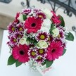 This bouquet dazzles with personality, capturing North Watford's vibrant charm in each carefully arranged bloom. Bold, velvety Gerbera daisies in brilliant magenta-pink immediately draw the eye, their crisp, energetic petals brimming with life. Threaded throughout, clusters of chrysanthemums alternate deep purple and snowy white, each flower's lime-green disc center sparkling amid the colour play. Cream roses add a creamy softness, their spirals unfolding gently and filling the air with a suggestion of classic perfume. Wisps of delicate baby's breath drift between the blossoms, like fine lace or light spring clouds, brightening the bouquet's character and lending an airy ease. Rich green foliage provides both balance and presence, much like the nearby green spaces that define North Watford. Resting elegantly on a white table with a softly blurred hint of an ornate railing beyond, the setting evokes a cheery, inviting local home. This arrangement exudes celebration: perfect for adding joy to an anniversary in North Watford, sparking smiles at a birthday, or simply brightening a neighbour's day. Every petal and shade reveals the meticulous attention of a North Watford florist, blending artistry with local heart for a truly uplifting effect.