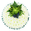A round funeral cushion fills the frame, seen from directly above so its structure and textures can be fully taken in. The entire base of the design is densely packed with white chrysanthemums, likely spray or cushion varieties, arranged so closely that they form an almost seamless blanket of petals. Their surfaces look soft and velvety, and the pale green centres of each bloom add just enough colour to keep the white from feeling stark, instead suggesting purity, peace, and gentle remembrance. Along the outer edge, a deep green satin ribbon has been carefully pleated, its glossy finish catching the light and creating a scalloped border that neatly contains the mass of flowers. Slightly off-centre near the top, a lush green focal cluster rises from the cushion, turning the arrangement into more than just a simple circle of blooms. A vivid lime-green spider chrysanthemum opens dramatically, its long, fine petals giving a sense of energy and movement. Around it, rounded green Hypericum berries and small button-like chrysanthemums add both texture and freshness, while dark green fern fronds and foliage provide structure and contrast. Nestled within this greenery are two striking Scottish thistles, their distinctive spiky heads in moody shades of blue and violet, a subtle yet powerful nod to strength and perhaps Scottish heritage. The overall impression is one of quiet elegance, the cool white and green palette softened by those touches of blue. It is easy to imagine this tribute travelling by hearse from a family home in North Watford, perhaps near the Dome Roundabout, to a local service, carrying with it a heartfelt message of respect and farewell.
