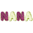 A handcrafted, tactile tribute spells the word 'NANA' in bold, three-dimensional letters set against a crisp white backdrop, each character rendered as if lovingly stitched from soft, plush textile. The first 'N' appears in a rich plum-purple yarn with a chunky, knitted texture that catches the light and throws gentle shadows in the stitch valleys; its surface looks pillowy to the touch. Beside it, the first 'A' is fashioned from a creamy ivory fabric with a subtle, downy nap-close to a pale daffodil yellow at the edges-so the alternating colours create a comforting rhythm across the composition. The second 'N' mirrors the plum tone and knit density of the first, while the final 'A' returns to the warm, pale cream, completing a symmetrical, reassuring pattern. Each letter shows rounded, quilted contours and slightly raised edges that suggest soft stuffing beneath the fabric skin; tiny hand-sewn seams and the suggestion of gentle tufting give a domestic, handmade character. A slim band of lime-green trim or ribbon threads around each letter, its satin sheen and scalloped placement providing a bright, lively border that lifts the warm neutrals and plums and hints at the freshness of a garden. The light is soft and indoor-late morning through a window near Cassiobury Park-casting a hush over the scene and inviting touch and memory rather than floral scent. This textile rendering reads as a cozy keepsake or nursery-style homage to a beloved grandmother, suitable for quiet corners of the home or comforting displays at local gatherings in North Watford, near Watford Junction and Clarendon Road, where handmade tributes are treasured.